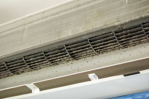 Trusted Wesley Chapel, NC Airduct Cleaning Experts